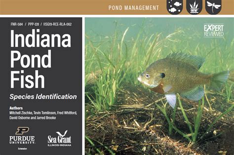 Indiana Fish Identification Chart