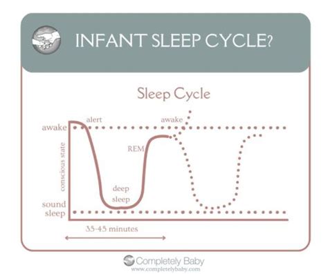 Infant Sleep Cycles Chart