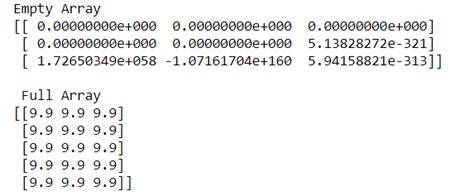 initialize a numpy array duplicate