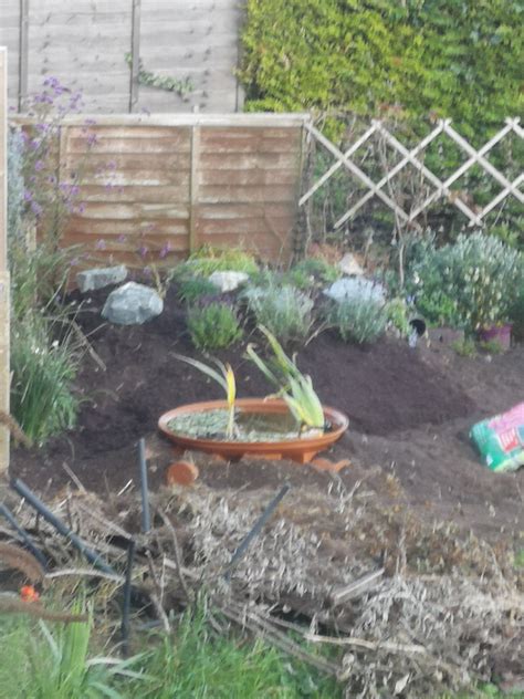 Check out the garden pond decorations