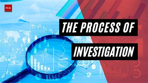 investigation process