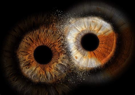 iris photography locations