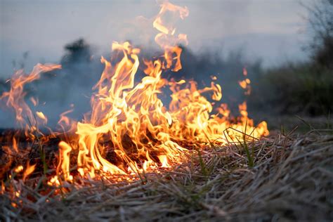 is burning grass safe