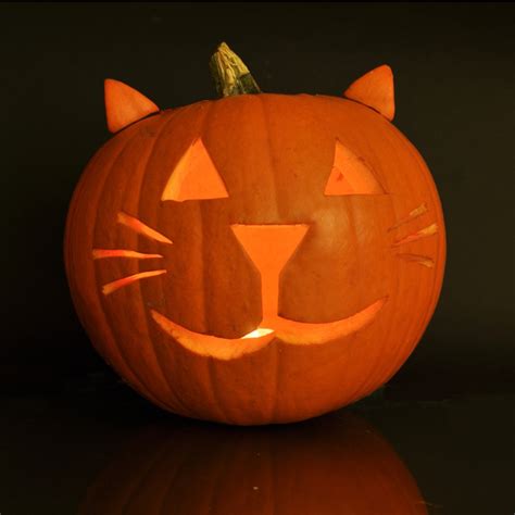 jack o lantern cat pattern