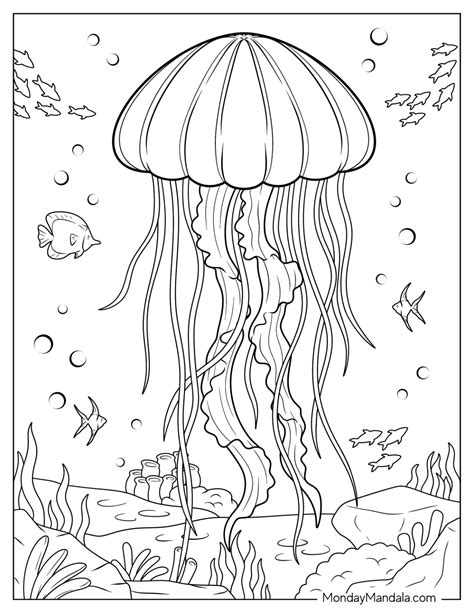 jelly fish coloring pages