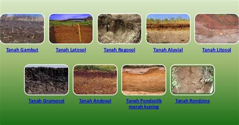 Jenis-jenis Tanah dalam Lingkungan
