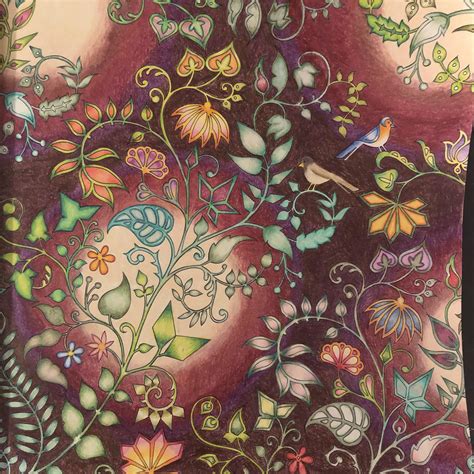 johanna basford enchanted forest finished pages