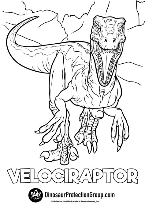 jurassic world velociraptor blue coloring pages