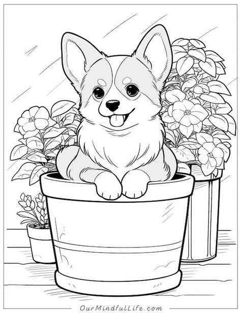 kawaii corgi coloring pages