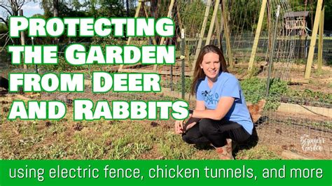 keep deer and rabbits out of garden