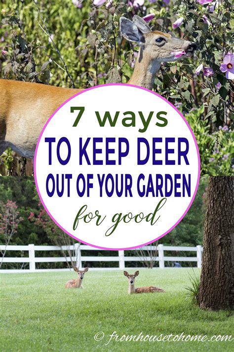 keeping deer out of your garden