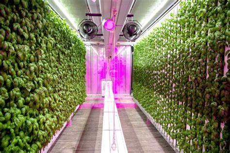 kimbal musk vertical farming