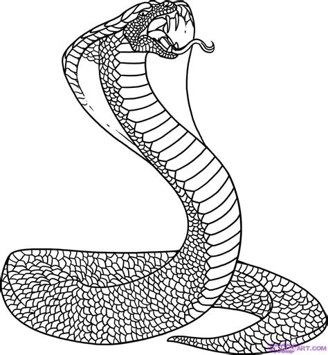 king cobra coloring pages