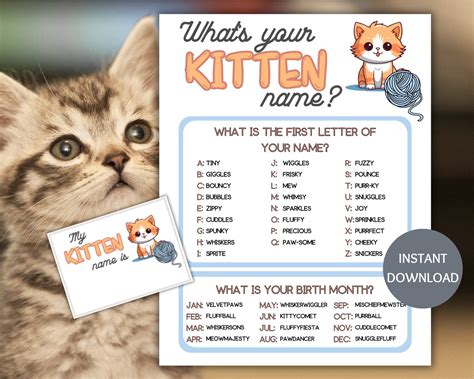 Kitten Generator Educational Value