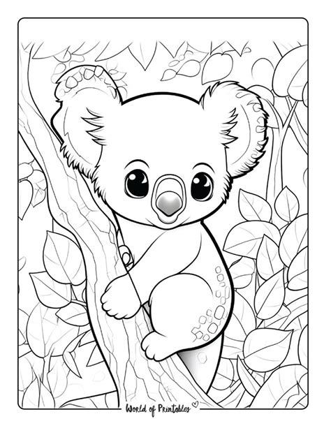 koala colouring in
