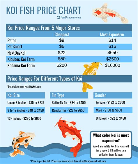 koi fish range price