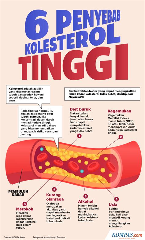 kolesterol tinggi