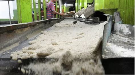 Proses kristalisasi gula di PG Asembagus Situbondo Jawa Timur