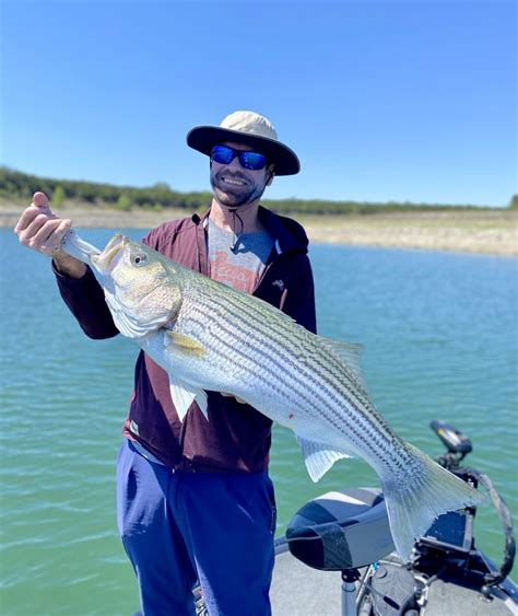 Lake Travis Fish