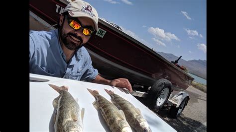 Lake Trolling Fishing in New Mexico