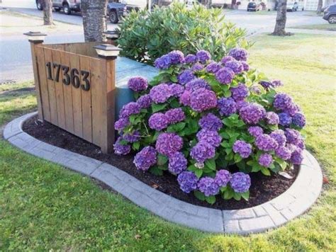 landscape ideas to hide utility boxes