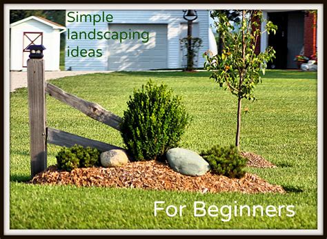 landscaping tips for beginners