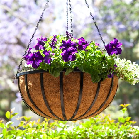 large hanging baskets