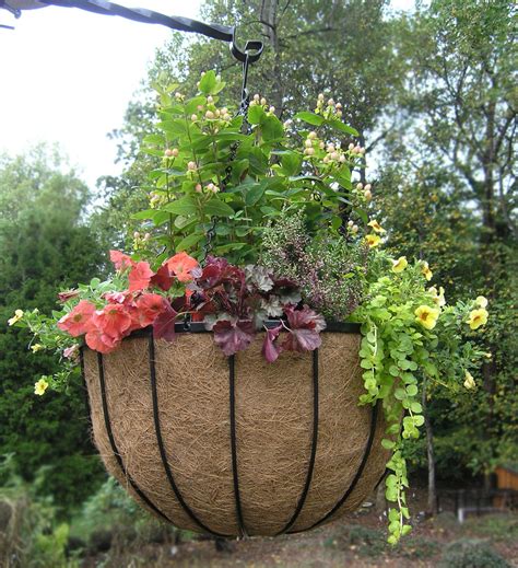 large hanging baskets for plants