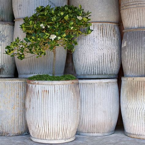 large metal pots for plants