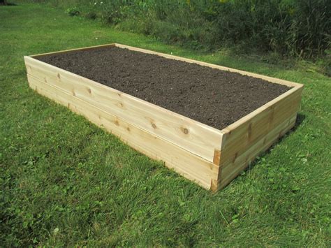 large raised garden bed