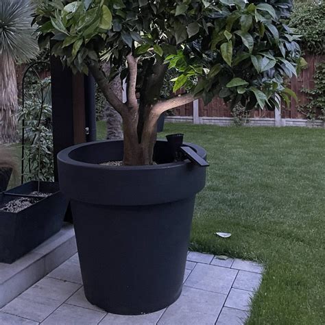 large tree pots outdoor