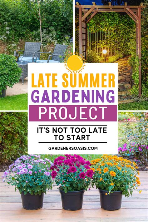 late summer gardening tips