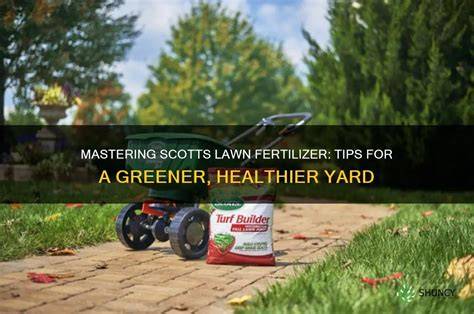lawn fertilizer tips