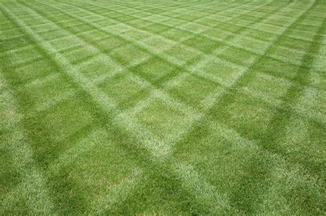 lawn mowing patterns