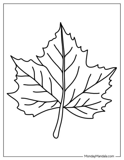leaf coloring sheets