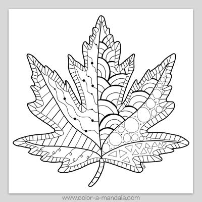 leaf mandala coloring page