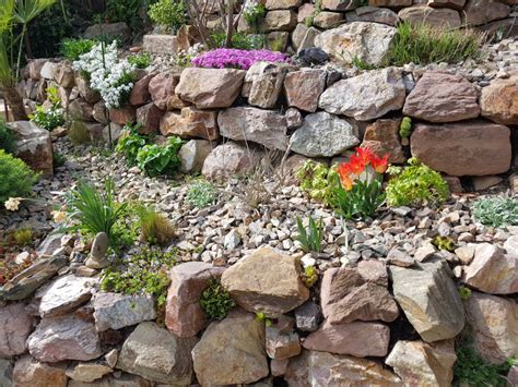 learn a bit about rock gardens