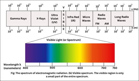 The Electromagnetic Spectrum