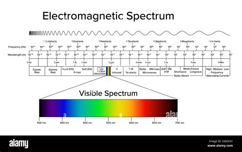 The Electromagnetic Spectrum