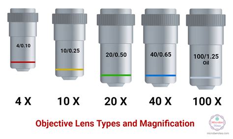 Objective Lenses