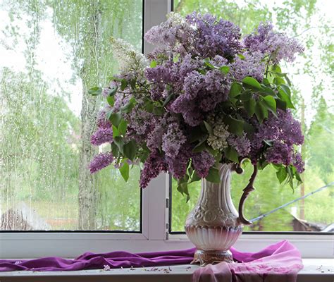 lilac vase