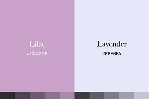 lilac vs lavender colour