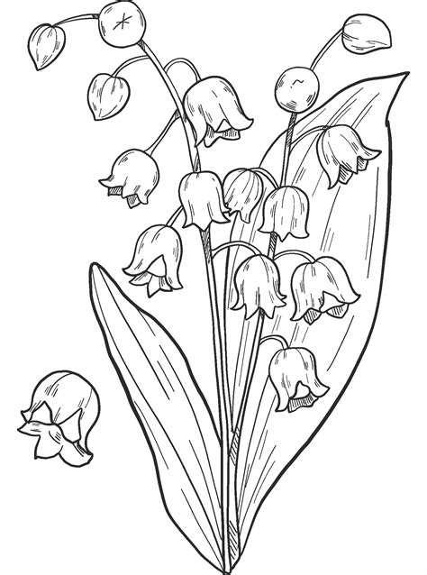 lily of the valley coloring pages