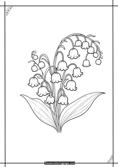 lily of the valley coloring pages