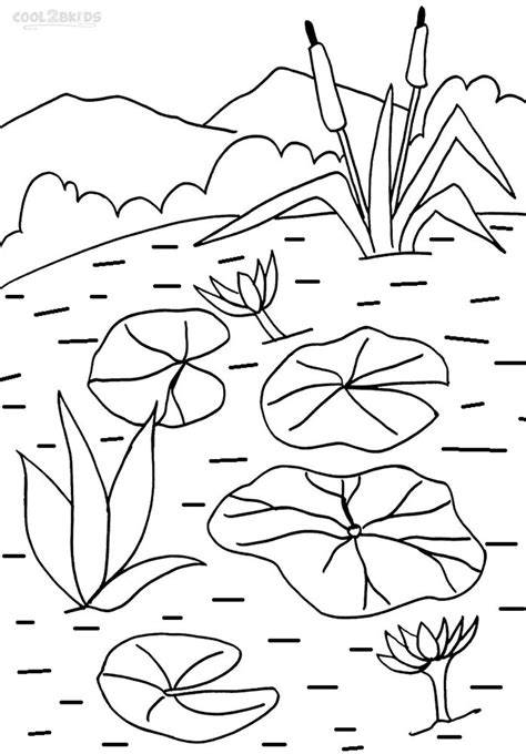 lily pad coloring pages