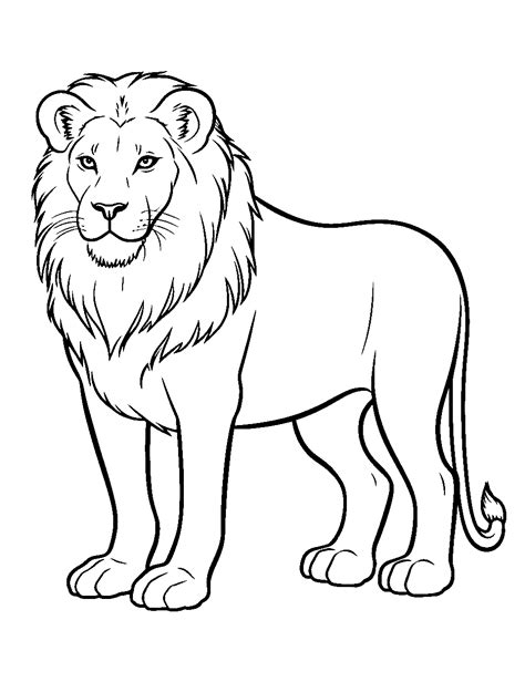 lion coloring sheet