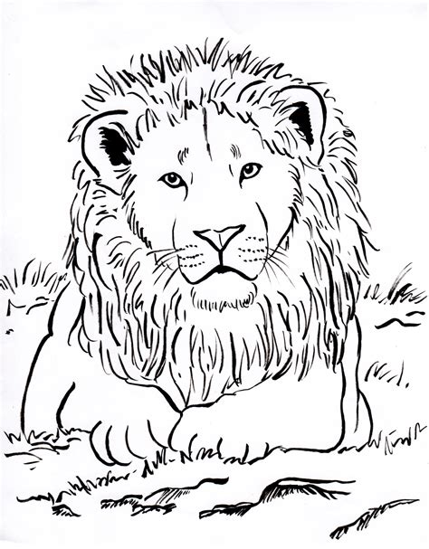 lion printable coloring pages