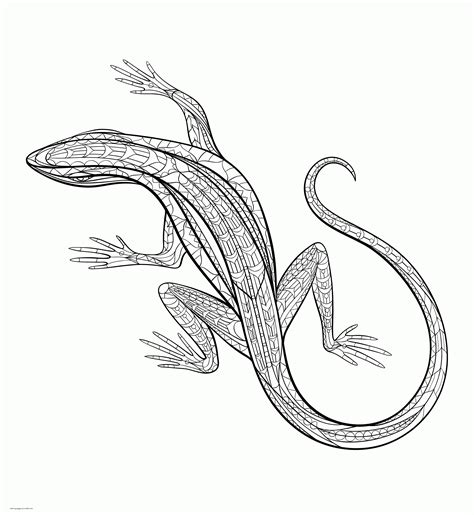 lizzard coloring pages
