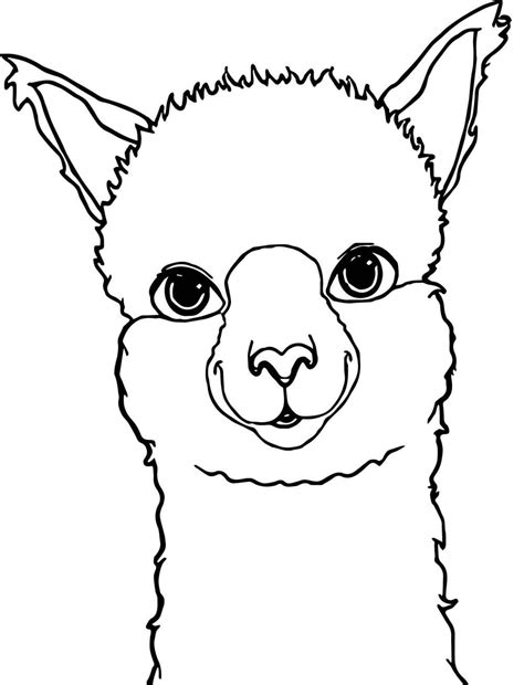 llama pictures to print