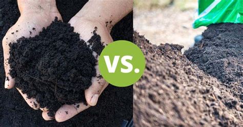 loam vs topsoil